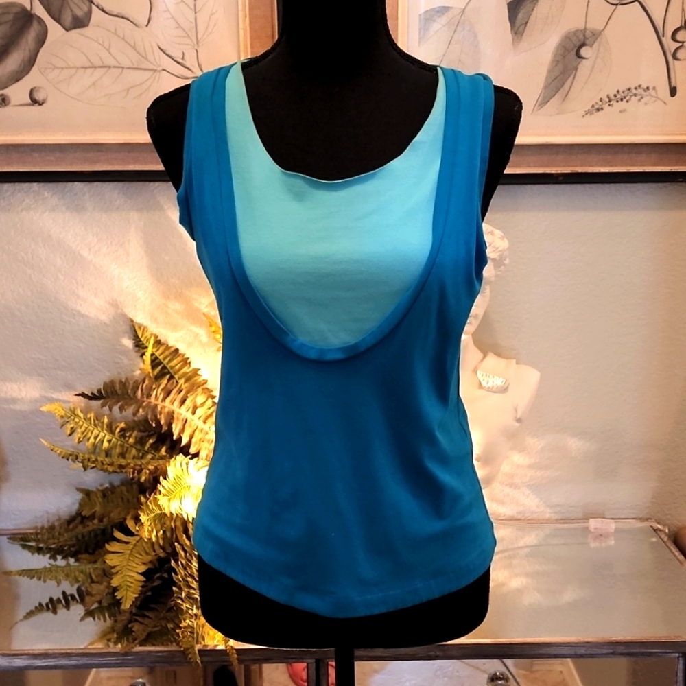Tapered 2 layer tank